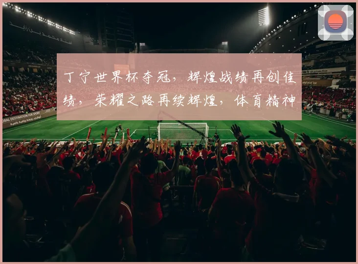 丁宁世界杯夺冠，辉煌战绩再创佳绩，荣耀之路再续辉煌，体育精神熠熠生辉。