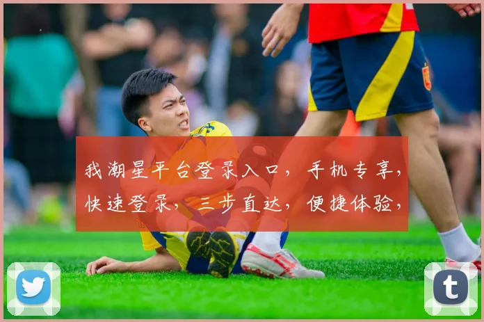 我潮星平台登录入口，手机专享，快速登录，三步直达，便捷体验，一触即达