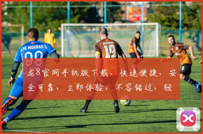 龙8官网手机版下载，快速便捷，安全可靠，立即体验，不容错过，轻松下载，畅享娱乐