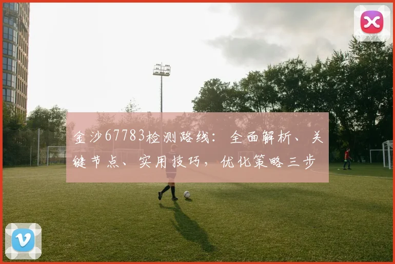 金沙67783检测路线：全面解析、关键节点、实用技巧，优化策略三步走